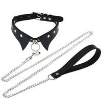 leash and collar